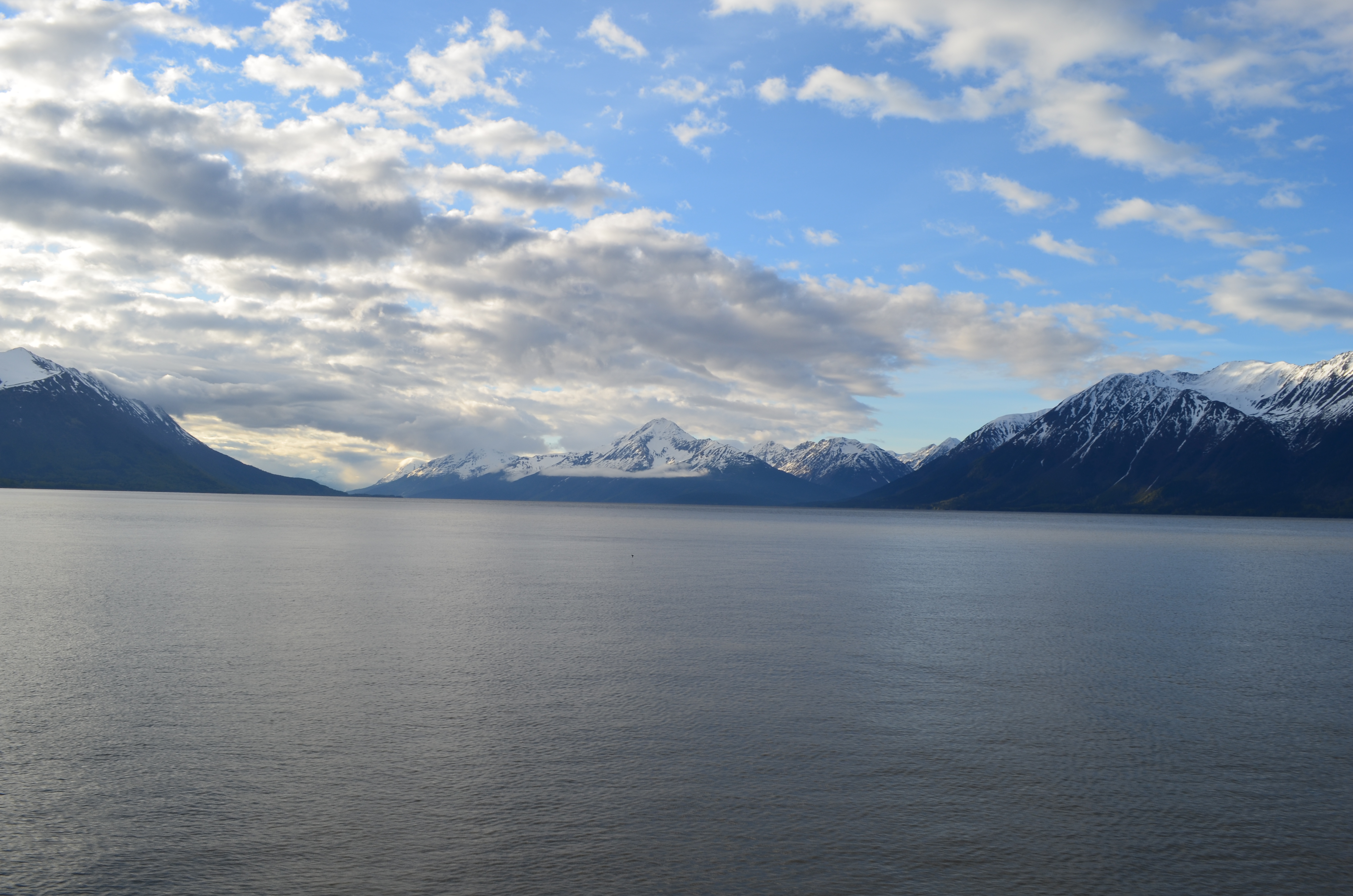 ./2017/08 - Alaska Cruise/05 - Train to Seward/DSC_0408.JPG